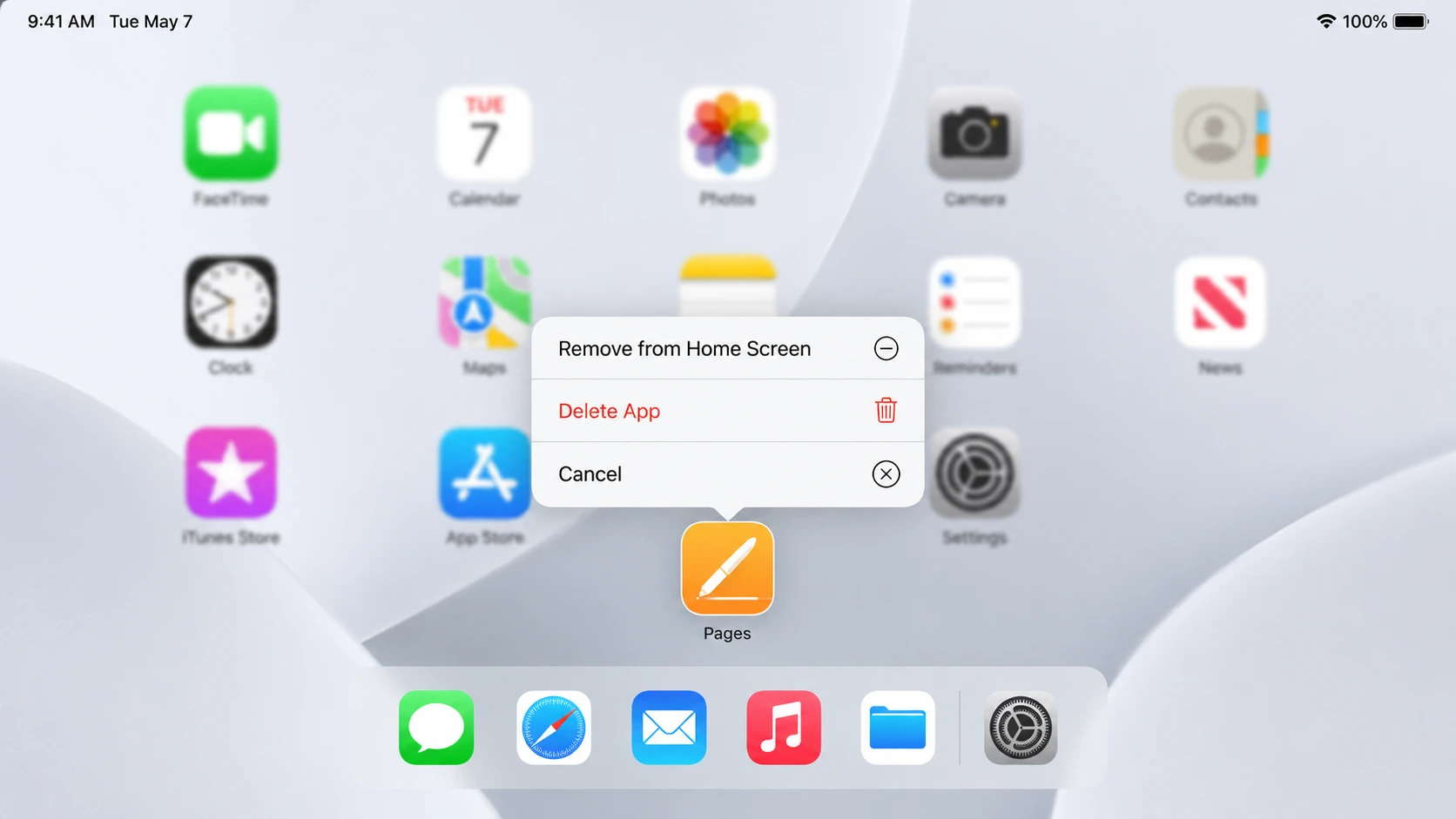 iPad Home Screen showing long-press context menu with Delete App and Remove from Home Screen options visible