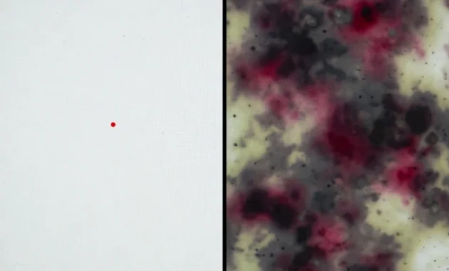 Before and after comparison showing a small stuck pixel dot versus the large permanent dark bruise caused by applying too much pressure to a laptop screen