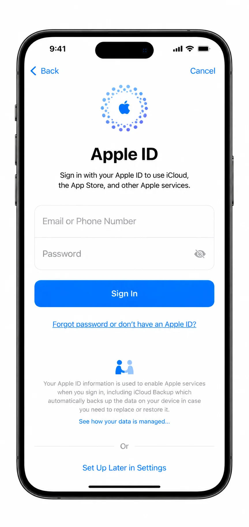 iOS Apple ID sign-in screen showing the email and password fields with the Sign In button and Forgot password link during iPhone activation